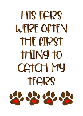 Paw Catch My Tears Decor