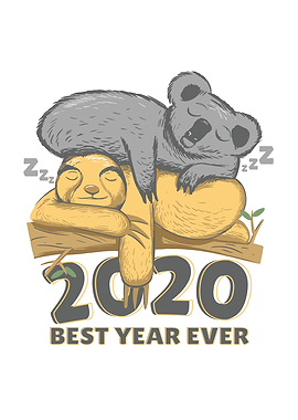 Funny koala Sloth Lazy