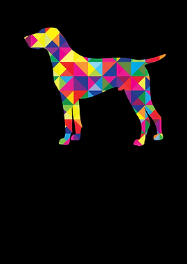 Funny German Shorthair