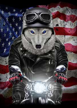 Wolf on Motorcycle USA
