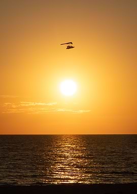 Flying High at Sunset