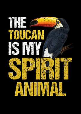 Tukan Vogel Regenwald