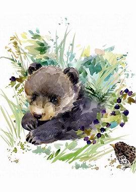 Bear Cub Animal