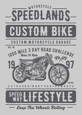 Speedlands Custom Bike 2
