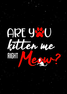 Funny Kitten Meow Decor