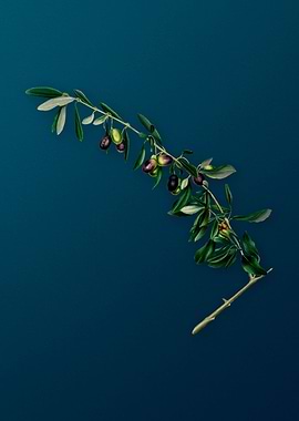 Vintage Olives Fruits Art