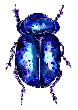 Purple Beetle