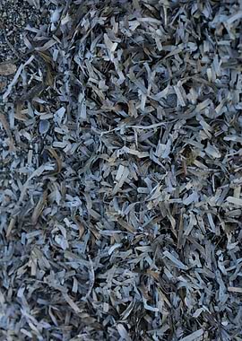 Sea beach ground Creta