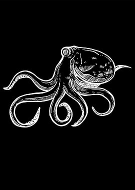 Octopus underwater black