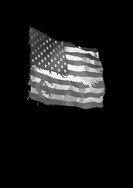 America Flag USA Patriot