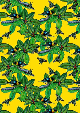 Golden Hooded Tanagers