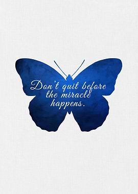 Butterfly Miracle