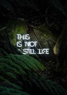 This is not still life