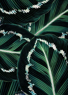 TROPICAL GREENERY LEAVES-2