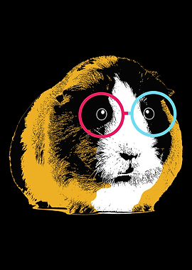 Guinea Pig Sunglasses