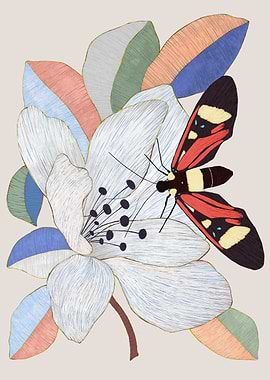 Magnolias and insects