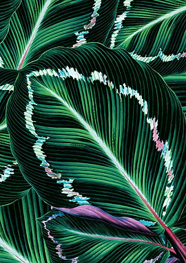 TROPICAL GREENERY LEAVES-1