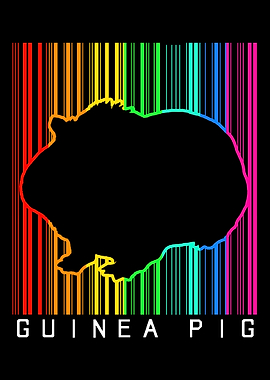 Guinea Pig Colorful
