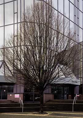 66 Hammersmith Road London