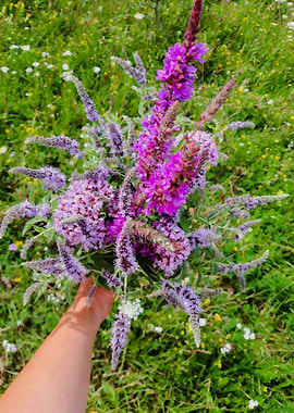 Mint wildflowers bouquet