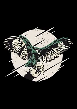 Peregrine Falcon Bird of P