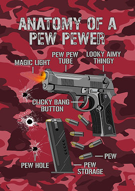 Pro Gun Shooting Range