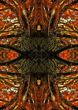 Mirror autumn leaves photo