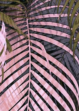 TROPICAL PASTEL POPPY2