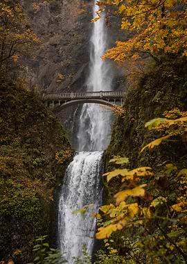Multnomah Autumn