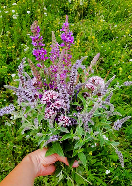 Lilac wildflowers bouquet