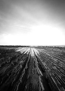 Flysch in black and white
