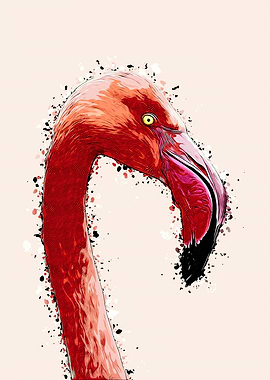 Flamingo