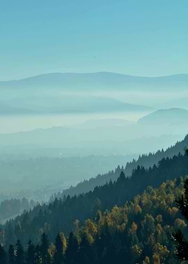 Foggy mountains and forest