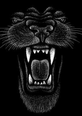 Lion Black and White