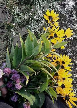 Autumn sunflowers bouquet