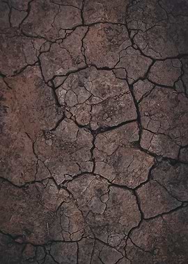 Dry Earth