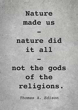 Thomas Edison Quote L030