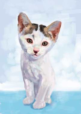 Adorable white kitten