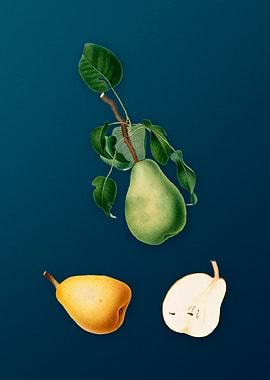 Vintage Winter Citron Art