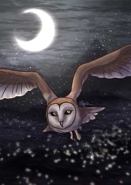 Owl Flying