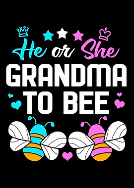 He Or She Gender Reveal