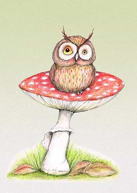 Owl on a mushroom