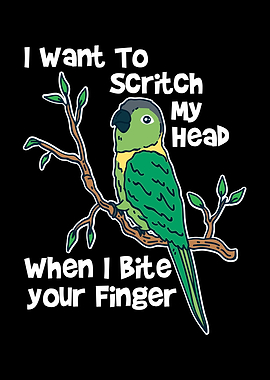 Conure Bird