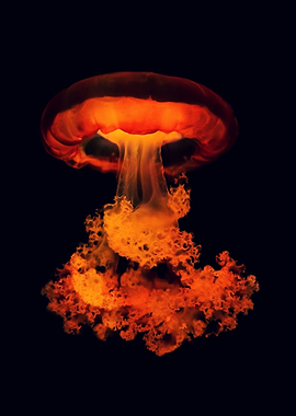 Jellyfish with tentacles