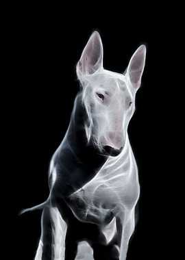 Bullterrier Fractal 2