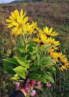 Yellow Sunflowers bouquet