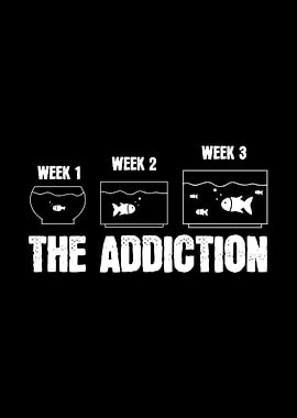 Aquariums Fishkeeper Fish