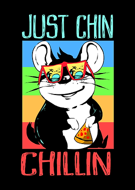 Chinchilla Chinchillin Pet