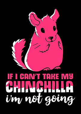 Chinchilla Not Going Pet