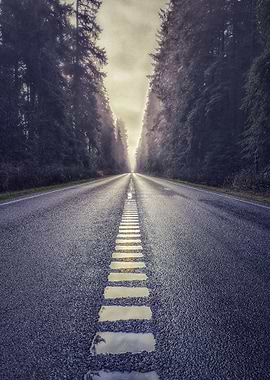 Olympic National Park